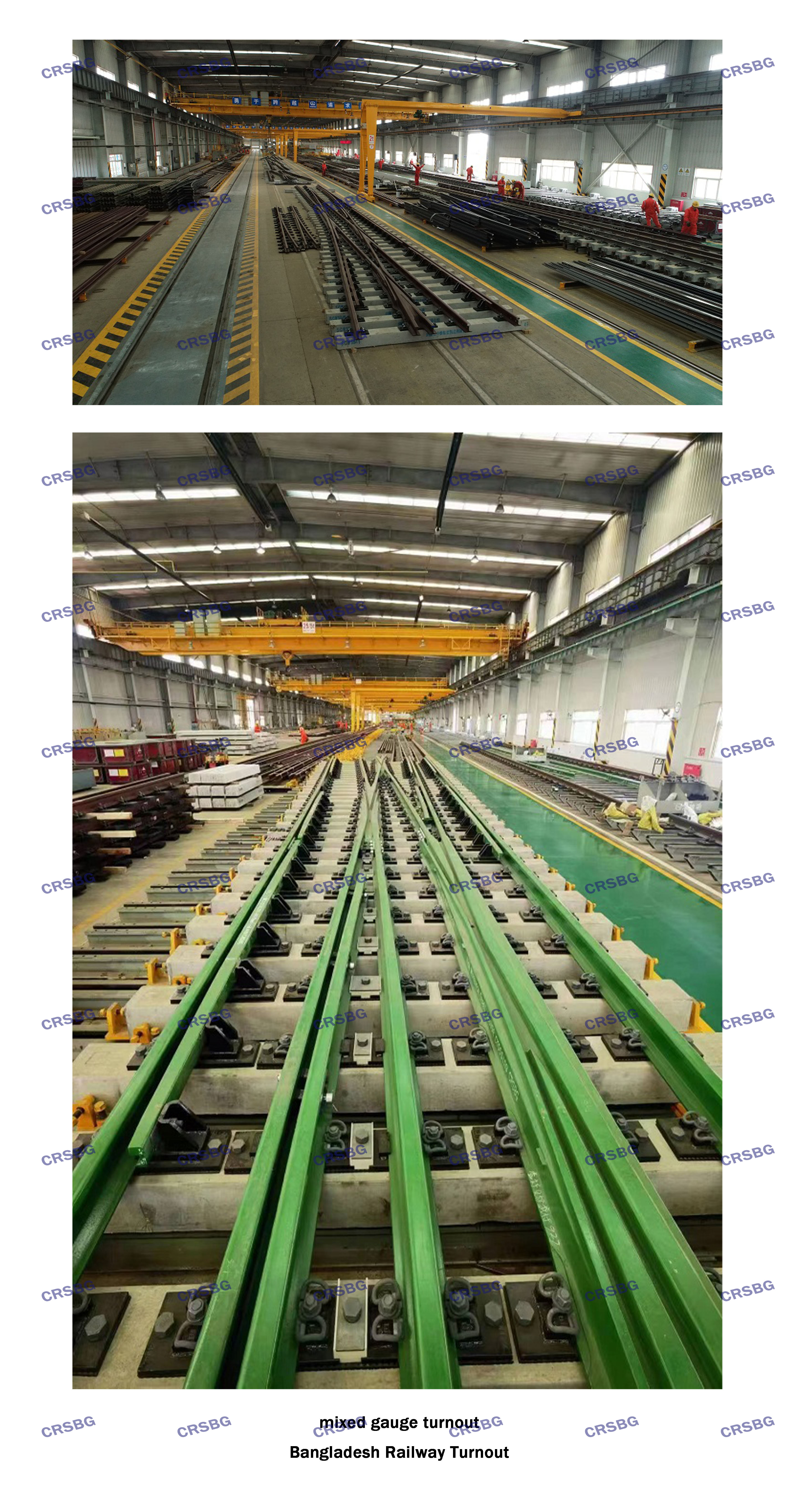 MIXED GAUGE TURNOUT（CRSBG水?。?jpg